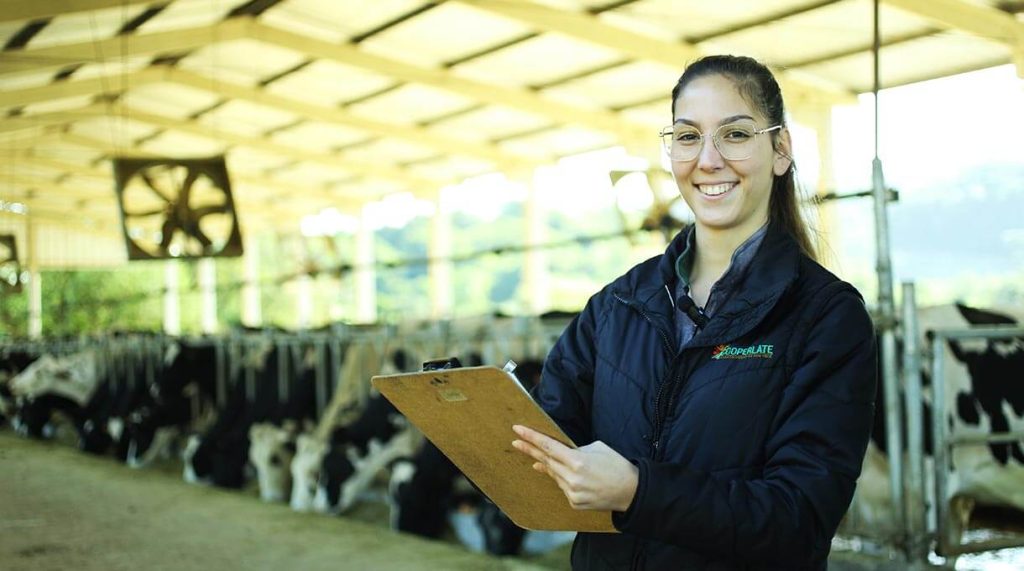 especialista em qualidade do leite da cooperlate em visita a um rebanho de propriedade parceira